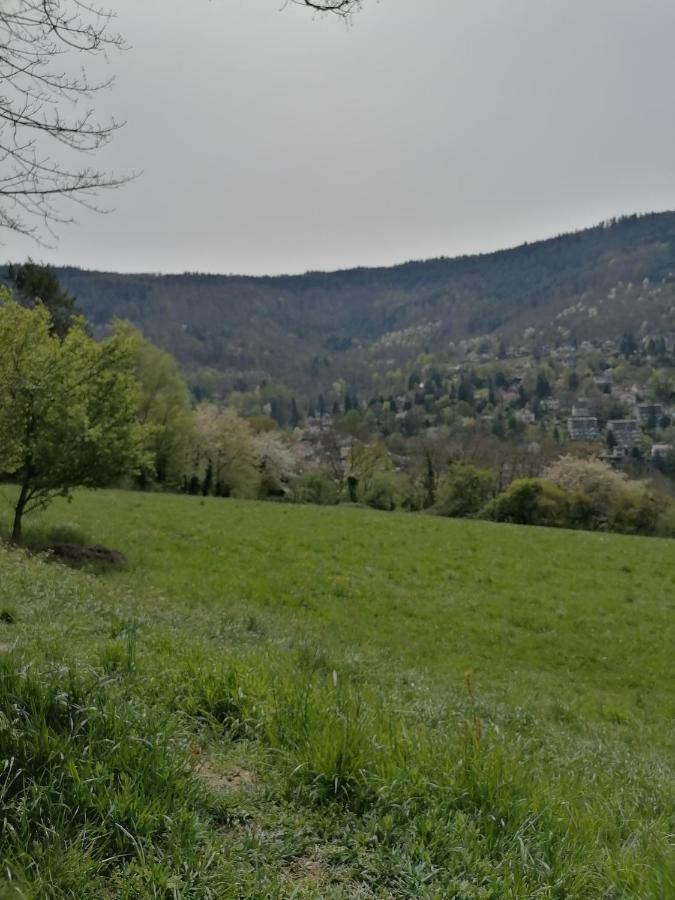 Desire Villa Heidelberg Esterno foto