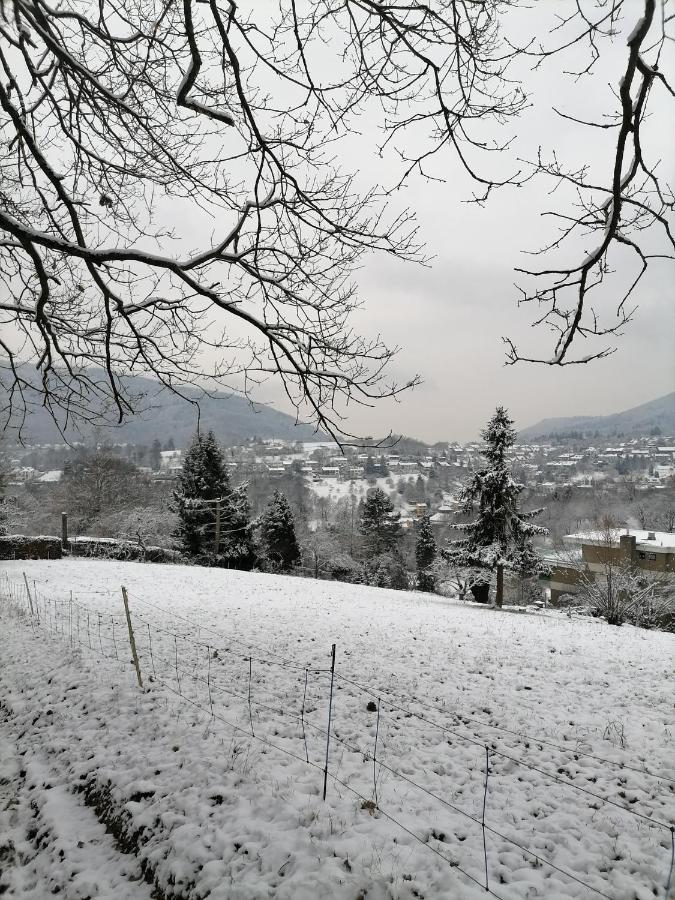 Desire Villa Heidelberg Esterno foto